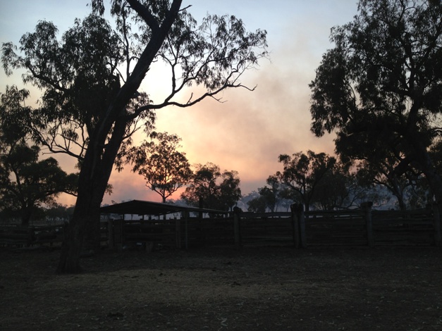 Apart from drought and flood, bushfires are another disaster we must face
