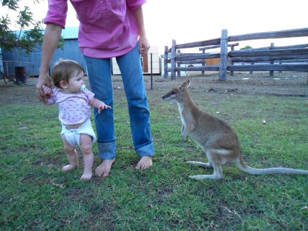 If you're lucky, you may meet a wallaby or kangaroo