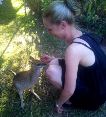 Feeding the wallaby